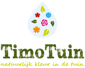 TimoTuin