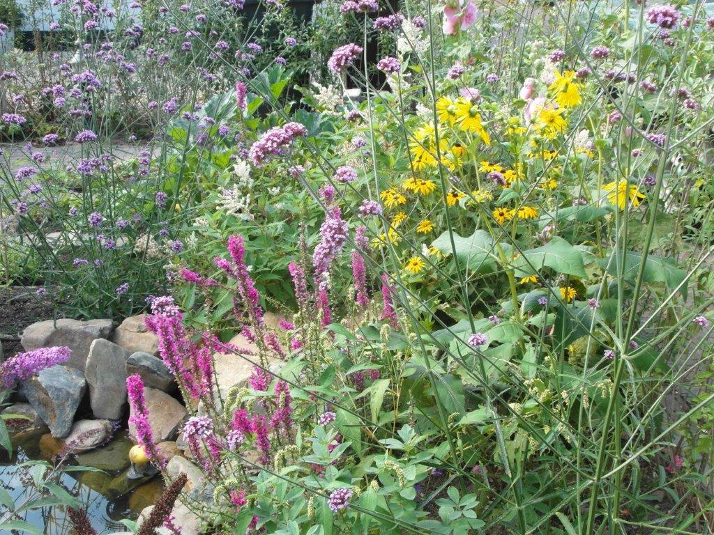 Duurzaam in de Tuin